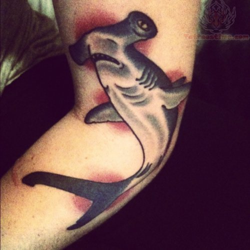 Hammerhead Shark Tattoo On Elbow